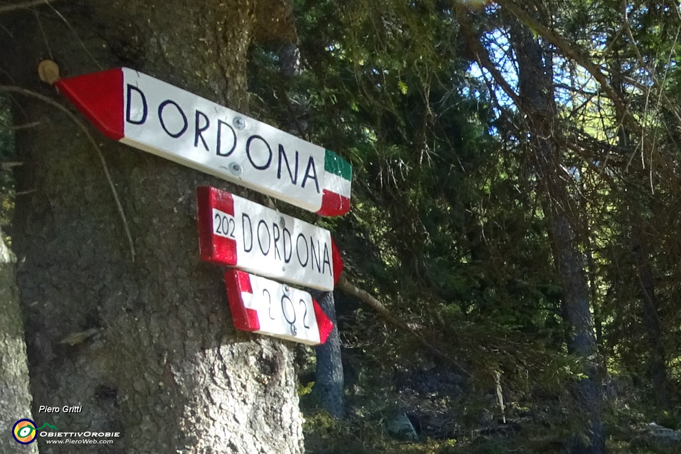 13 Indicazioni per Dordona che confondono, noi saliamo a dx sul 202 .JPG